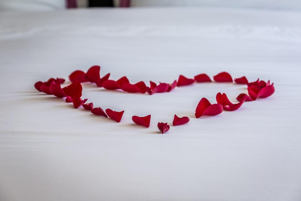 Park Plaza Hotel Seguin Dış mekan fotoğraf